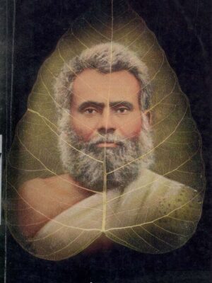 Namu Guru Nemisuri Sansarma